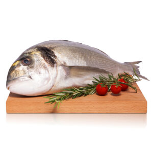 Orata Pescata Mediterraneo