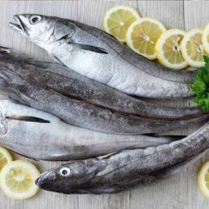 Merluzzetti del mediterraneo