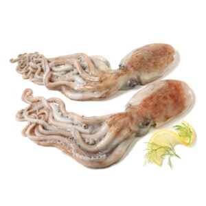 Moscardino fresco dello Ionio