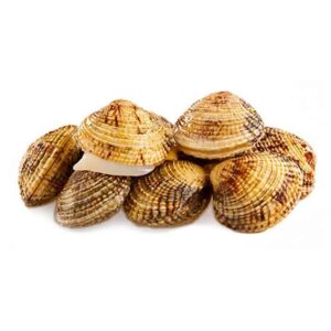 Noci/Tartufi di mare